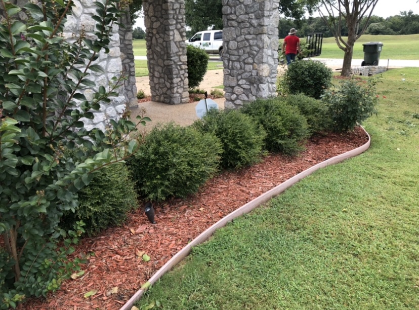 home landscaping in north texas