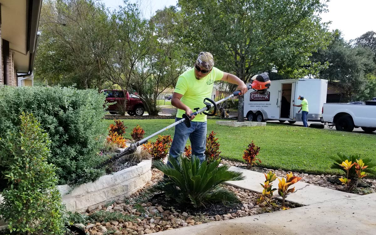 hernandez landscaping 